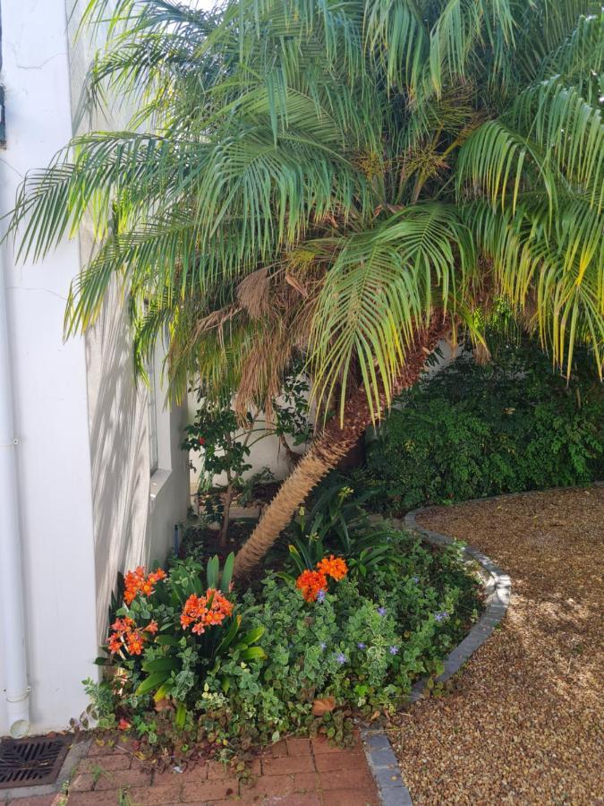 Art House Villa Stellenbosch Ngoại thất bức ảnh